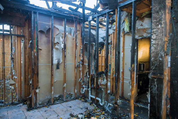 Professional Fire Damage Removal technician working in Grayson Valley, AL